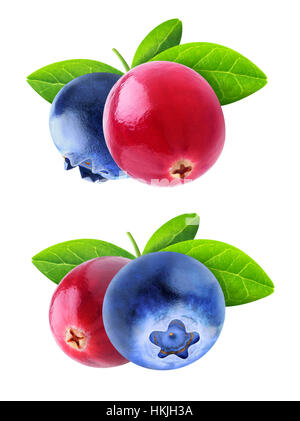 Isolated berries. Two images of cranberry and blueberry fruits with leaves isolated on white background with clipping path Stock Photo