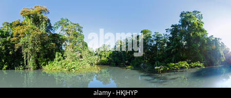 Scenic view of tropical rainforest and river, Tortuguero National Park, Limon Province, Costa Rica Stock Photo