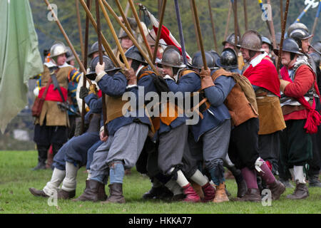 Pikemen in historical costume at Holly Holy Day. Nantwich, Cheshire, UK. 24th Jan, 2015. The Sealed Knot army foot soldiers gathered in the historic town for a spectacular re-enactment of the bloody battle that took place almost 400 years ago, between Parliamentarians and Royalists, which marked the end of the siege of the town. The infantry force, regiments of Roundheads, cavaliers, and uniformed historic entertainers converged upon the town centre to re-enact the Battle. The infantry siege, history british army battles in January 1644 was one of the key conflicts of the English Civil War. Stock Photo