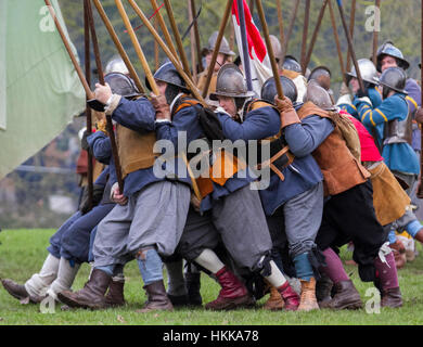 Pikemen in historical costume at Holly Holy Day. Nantwich, Cheshire, UK. 24th Jan, 2015. The Sealed Knot army foot soldiers gathered in the historic town for a spectacular re-enactment of the bloody battle that took place almost 400 years ago, between Parliamentarians and Royalists, which marked the end of the siege of the town. The infantry force, regiments of Roundheads, cavaliers, and uniformed historic entertainers converged upon the town centre to re-enact the Battle. The infantry siege, history british army battles in January 1644 was one of the key conflicts of the English Civil War. Stock Photo