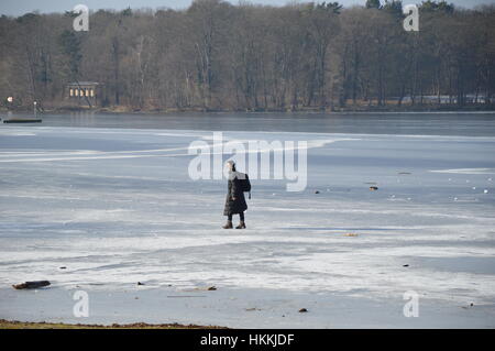 Berlin, Germany. 29th Jan, 2017. Berlin weather: People enjoy beautiful wintry weather in Wannsee, Berlin Credit: Markku Rainer Peltonen/Alamy Live News