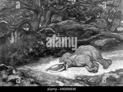 Antoine-Louis Barye - Elephant Asleep - Walters 37812 Stock Photo