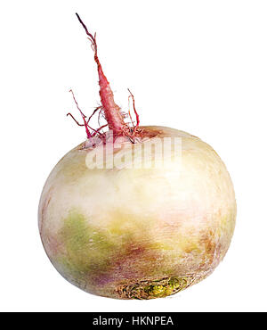radish isolated on white background Stock Photo