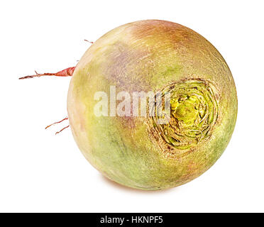 radish isolated on white background Stock Photo