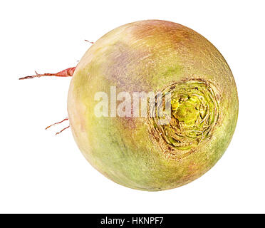 radish isolated on white background Stock Photo