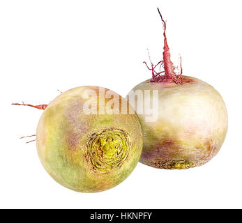 radish isolated on white background Stock Photo