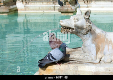 Wolf Statue With Pigeons Stock Photo