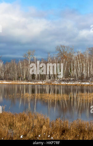 Wilderness lake in northern Wisconsin Stock Photo