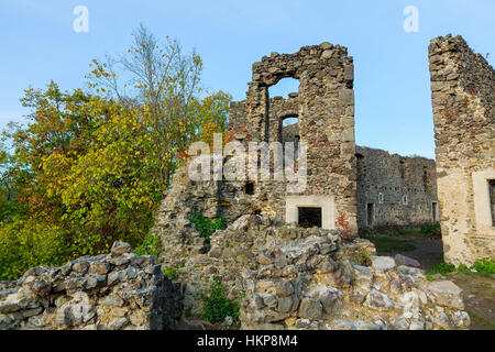 Castle Nevitsky in Zakarpatyya Ukraine historical europe Stock Photo