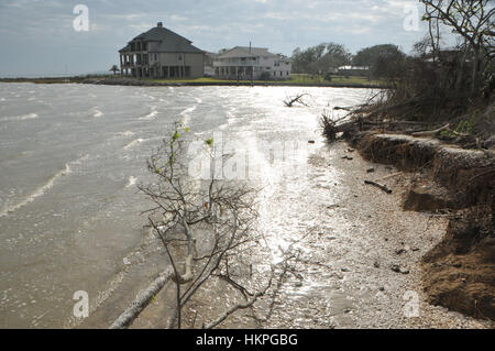 Coastal lowland at Pine Gully in Seabrook, Texas Stock Photo