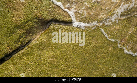 Gentle wave washes over mossy covered beach rocks. Stock Photo