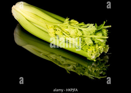 Stalks of fresh celery with some leaves still on it Stock Photo