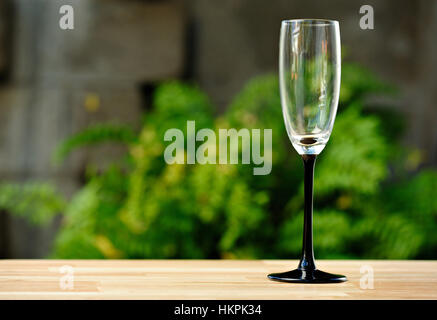 empty wine glass with black bottom on green background Stock Photo