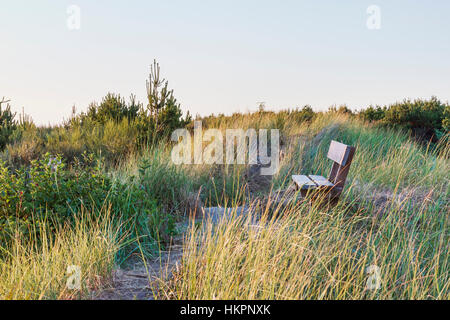 View Bench in Sand Dunes, Grayland Beach, State Park, Tokeland Beach, on the central Washington Pacific Coast south of Westport Stock Photo