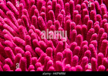Close up view at the surface of the fabric Stock Photo