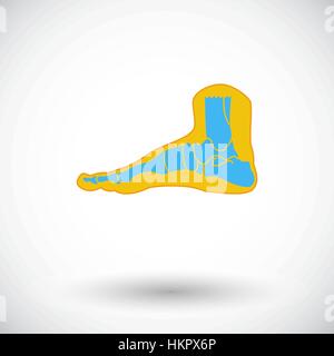 Foot anatomy. Single flat icon on white background. Vector illustration ...