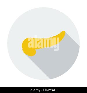 Pancreas. Single flat color icon. Vector illustration. Stock Vector