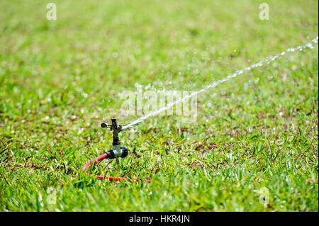 working water sprinkler on lawn in green grass