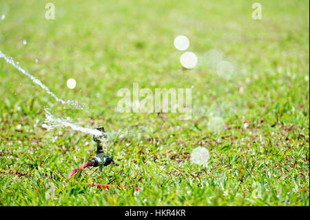 close up of water sprinkler on lawn in green grass Stock Photo