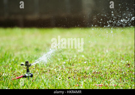 irrigation of green lawn with water sprinkler Stock Photo