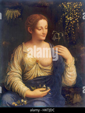 francesco-melzi-was-an-italian-renaissance-artist-known-for-his