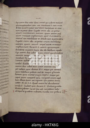 A page from the Latin Gospels, preserved in the Bodleian Libraries ...