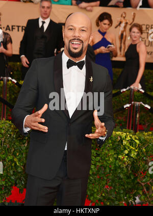 Los Angeles, USA. 29th Jan, 2017. Common arriving at the 23rd Annual Screen Actor Awards 2017 at the Shrine Amphitheater in Los Angeles. Credit: Gamma-USA/Alamy Live News Stock Photo