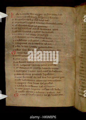 This illuminated manuscript page from the Bodleian Libraries features a ...