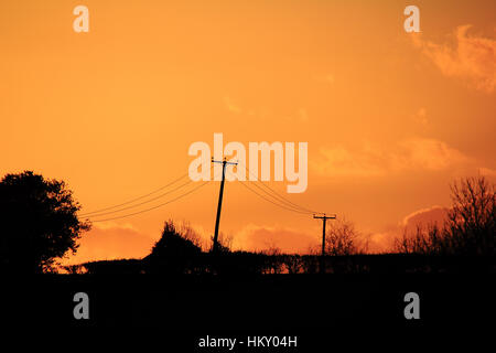 silhouetted power lines against golden sky sunset Stock Photo