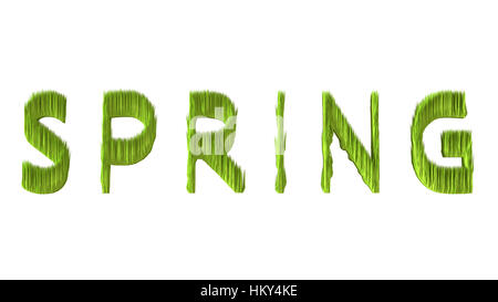 Word 'SPRING' looks like long grass isolated on the white background. Stock Photo