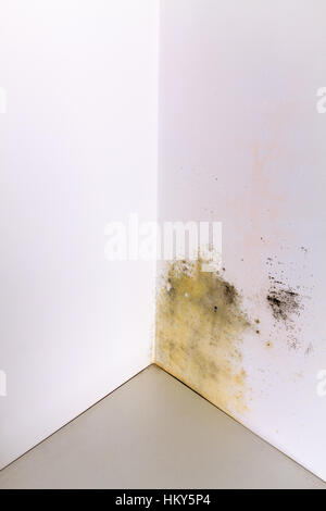 Mold and moisture buildup on corner wall of a house. Stock Photo