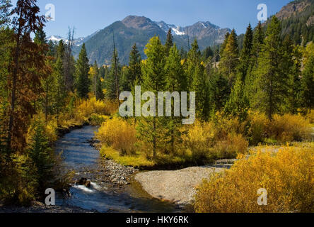 East Fork Salmon River in fall. This image was taken from the trail and is proposed wilderness. This motorized trail will be closed to such use if the Stock Photo