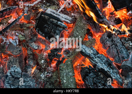 Closeup of glowing wood in a garden bonfire Stock Photo