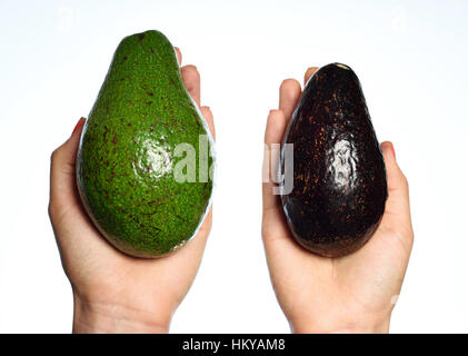 green and dark avocados in hands isolated on white Stock Photo