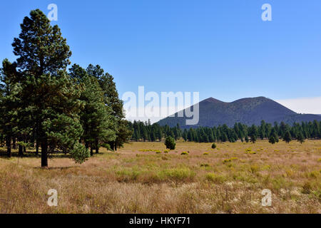 San Francisco Mountains Range by Sunset Crater Volcano National Monument,Coconino County,  Arizona, USA Stock Photo