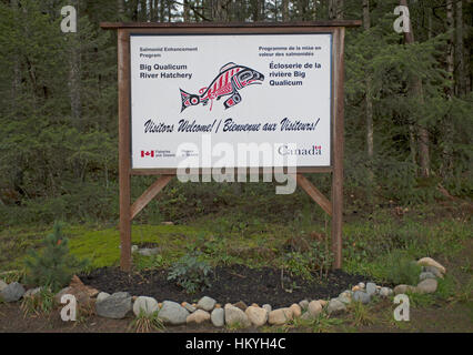 The Big Qualicum River Fish Hatchery on Vancouver Island BC, Canada