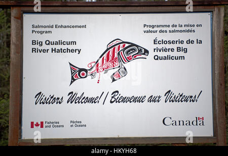 The Big Qualicum River Fish Hatchery on Vancouver Island BC, Canada