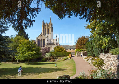 St Edmundsbury Cathedral seen from the Abbey Gardens, Bury St Edmunds, Suffolk, England. Stock Photo
