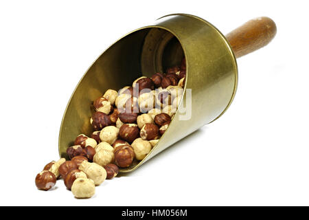 roasted hazelnuts in a brass scoop isolated on white background Stock Photo