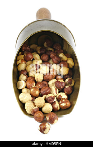 roasted hazelnuts in a brass scoop isolated on white background Stock Photo