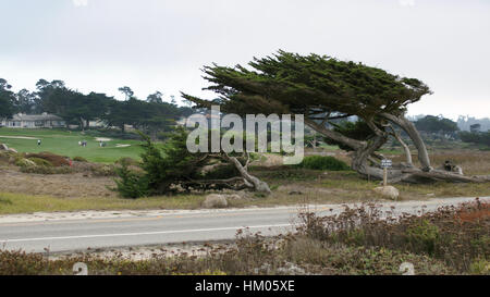 CARMEL, CALIFORNIA, UNITED STATES - OCT 6, 2014: beautiful houses at the Pebble Beach Golf Course, which is part of the famous 17 miles drive area Stock Photo