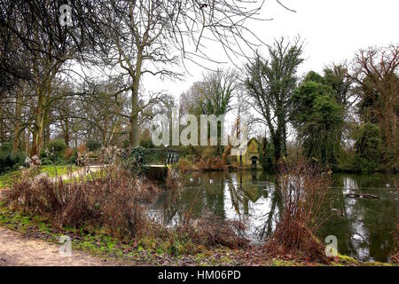 Waterhouse Woodland Garden in Bushy Park, London. January 2017 Stock Photo