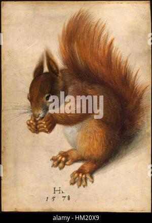 This painting, 'Red Squirrel' by Hans Hoffmann, created in 1578, displays the artist's exceptional skill in capturing wildlife with remarkable detail. The red squirrel is depicted in its natural environment, highlighting Hoffmann's talent for depicting animals with precision and lifelike qualities. Stock Photo
