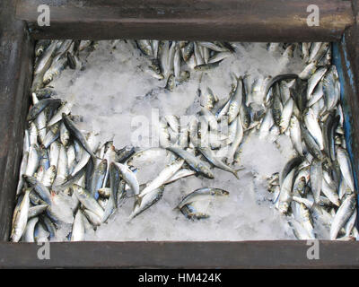 Dried fish preservation Stock Photo
