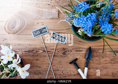 Sunny Flowers, Bin Im Garten Means In The Garden, Tools Stock Photo