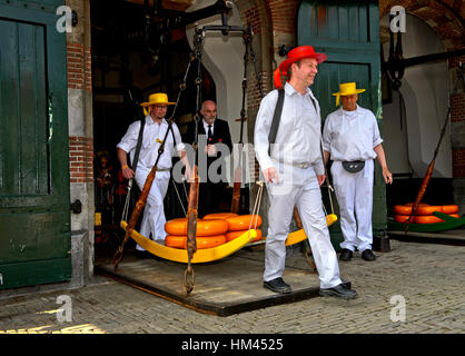 Guild cheese porters carry cheese truckles on a wooden stretcher from the scale to the cheese market, Alkmaar, Netherlands Stock Photo
