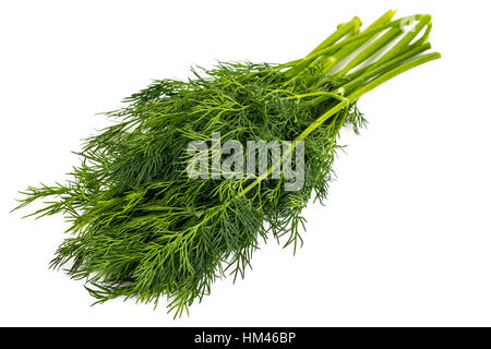 Dry seeds and green sprigs of dill on a white background Stock Photo