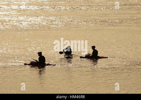 Surfers and water sports enthusiasts on the River Severn Bore, Newnham, Gloucestershire. Stock Photo