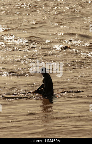 Surfers and water sports enthusiasts on the River Severn Bore, Newnham, Gloucestershire. Stock Photo