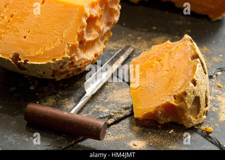 Piece of de mimolette cheese and cheese borer. Stock Photo